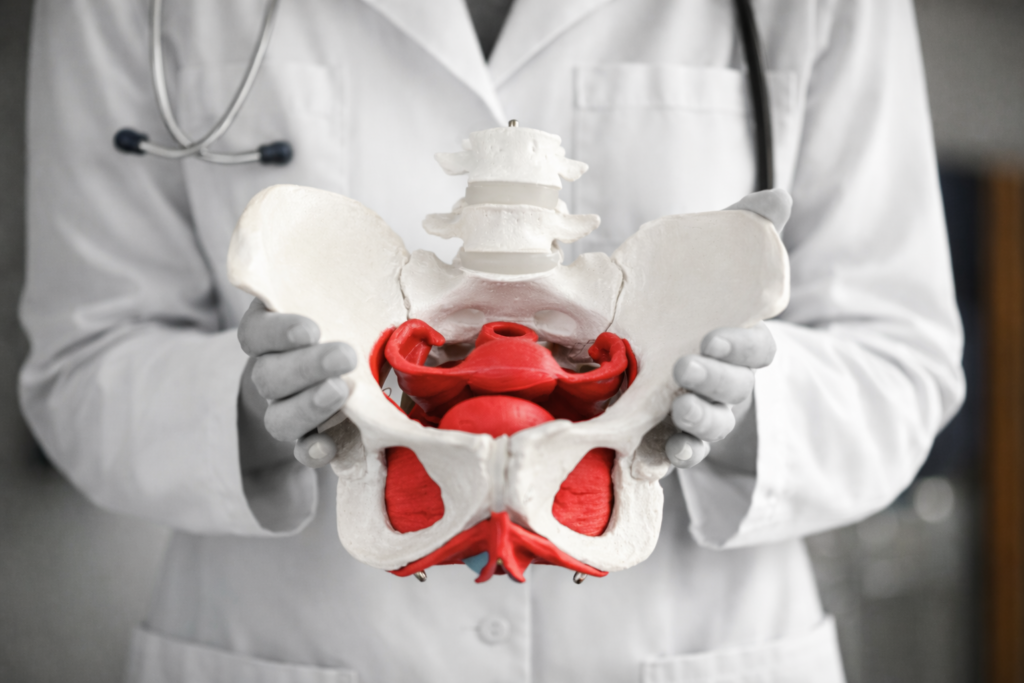 9491dad6 a6cb 4c03 8f53 cfead5016be2